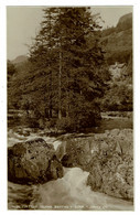Ref 1489 - Judges Real Photo Postcard - Fir Tree Island - Bettws-Y-Coed Wales - Caernarvonshire