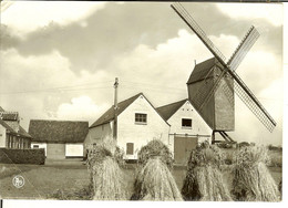 CP De SINT-MARTENS-LATEM ( Laethem-Saint-Martin ) " Houten Standaardmolen " - Sint-Martens-Latem