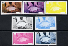 Iso - Sweden 1973 Fish 30 (Rudd) Set Of 7 Imperf Progressive Colour Proofs Comprising The 4 Individual Colours Plus 2, 3 - Local Post Stamps