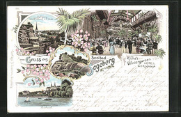 Lithographie Segeberg, Hotel Germania Mit Wintergarten, Hotel Kurhotel Mit Dampfer, Kalkberg Mit Blick Auf Die Stadt - Damp