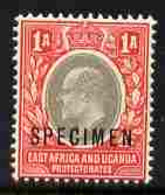 Kenya, Uganda & Tanganyika 1903-04 KE7 Crown CA 1a Overprinted SPECIMEN Fresh With Gum SG 2s (only About 750 Produced) - Altri & Non Classificati