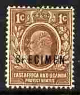 Kenya, Uganda & Tanganyika 1907-08 KE7 1c MCA Overprinted SPECIMEN Fresh With Gum SG 34s (only About 400 Produced) - Other & Unclassified