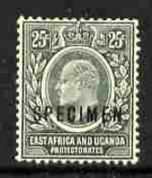 Kenya, Uganda & Tanganyika 1907-08 KE7 25c MCA Overprinted SPECIMEN Fresh With Gum SG 40s (only About 400 Produced) - Andere & Zonder Classificatie