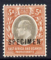 Kenya, Uganda & Tanganyika 1903-04 KE7 Crown CA 5a Overprinted SPECIMEN Fine With Gum Only About 730 Produced SG 7s - Autres & Non Classés
