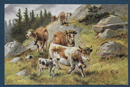 MÜLLER - Vaches - Müller, August - München