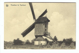 Vosselaar Bij Turnhout   Molen ( 13,7 X 8,7 Cm ) - Vosselaar