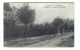 Oude-God  -  Vieux-Dieu  Lindenlei   Avenue Des Tilleuls 1910 - Mortsel