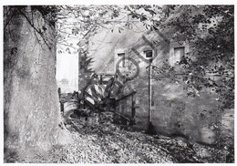 BRAIVES Molen / Moulin - Originele Foto Jaren '70  - Vieux Moulin  (Q295) - Braives