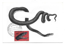 Mamba Noir Dendroaspis Augusticeps 1967 Carte Republique Rwanda - Serpientes