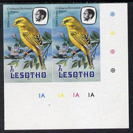 Lesotho 1981 Yellow Canary 7s Def In U/m Imperf Pair* (SG 442) - Lesotho (1966-...)