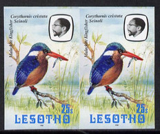 Lesotho 1981 Malachite Kingfisher 25s Def In U/m Imperf Pair* (SG 444) - Lesotho (1966-...)