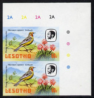Lesotho 1982 Cape Longclaw 60s Def In U/m Imperf Pair (as SG 509)* - Lesotho (1966-...)
