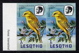 Lesotho 1982 Yellow Canary 7s Def In U/m Imperf Pair* (SG 505) - Lesotho (1966-...)