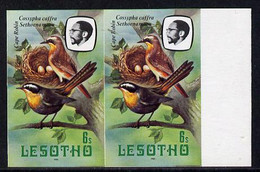 Lesotho 1981 Cape Robin Chat 6s Def In U/m Imperf Pair (as SG 441)* - Lesotho (1966-...)