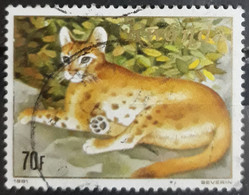 RWANDA 1981 Carnivorous Animals. USADO - USED. - Usados