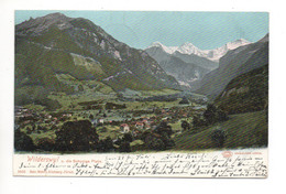 WILDERSWIL U. Die Schynige Platte Gel. 1903 N. Pontresina - Wilderswil