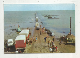 Cp , Automobiles , Citroen 2cv.., Camion ,camionnette, Le Passage Du Gois , 85 ,ILE DE NOIRMOUTIETR ,voyagée 1980 - PKW