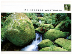 (RR 41) Australia - Rainforest - Far North Queensland