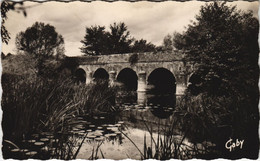 CPA COULONGES-sur-l'AUTIZE Pont De Guilbot Sur L'Autize (1140640) - Coulonges-sur-l'Autize