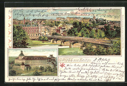 Lithographie Zeitz, Panorama Und Schloss Moritzburg - Zeitz