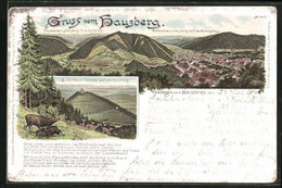 Lithographie Lauterberg I / Harz, Panorama Vom Hausberg In Das Lutterthal, Panorama Auf Den Ort - Bad Lauterberg