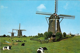 2 AK Niederlande * Die 3 Windmühlen In Leidschendam (erbaut 1672 Und 1903) - Provinz Süd-Holland * Beide Karten Gelaufen - Leidschendam