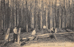 CPA 28 FORET DE SENONCHES PELAGE DE BOIS - Otros & Sin Clasificación