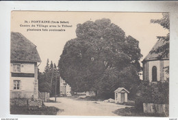 RT33.551   FONTAINE.TERRITOIRE -DE-BELFORT. ARBRE TILLEUL PLUSIEURS FOIS CENTENAIRE. CENTRE DU VILLAGE.N° 34 SCHMILL - Fontaine