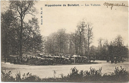 Boitsfort  *  Hippodrome De Boitsfort - Les Voitures  (Vanderauwera, 27) - Watermael-Boitsfort - Watermaal-Bosvoorde