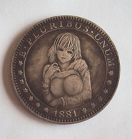 USA 1881 1 $ 'hobo Nickel' Carson City 'Busty Girl' (based On Morgan $) - UNCIRCULATED - Sonstige – Amerika