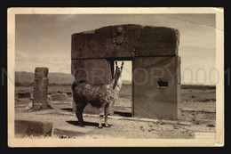 Bolivia Archaeology Puerta Del Sol Ca1950 RPPC Air Mail Posted To Uruguay  Llama Tihuanacu W6-834 - Bolivia