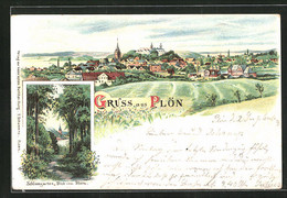 Lithographie Plön, Schlossgarten-Blick Vom Stern, Ortsansicht - Plön