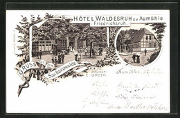 Lithographie Friedrichsruh, Hôtel Waldesruh Zu Aumühle - Friedrichsruh