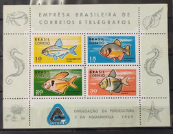 B 26 Brazil Stamp Disclosure Of Fish Farming Hippocampus Star Shell 1969 1 - Other & Unclassified