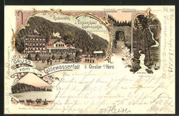 Lithographie Goslar, Restaurant Und Pensionshaus Gosewasserfall, Herzberger Teich - Herzberg