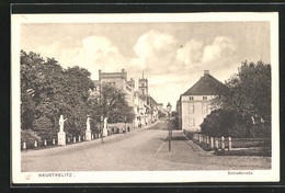 AK Neustrelitz, Blick In Die Schlossstrasse - Neustrelitz