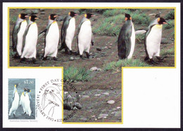 AUSTRALIAN ANTARCTIC TERRITORY (AAT) 1993 &1.30 First Day Of Issue Air Mail Postcard - King Penguins - FDC