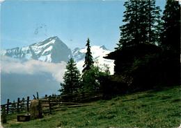 Blick Zum Piz Beverin Und Bruschghorn (35018) * 6. 4. 1982 - Bever