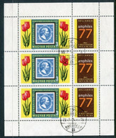 HUNGARY 1977 AMPHILEX Stamp Exhibition Sheetlet  Used.  Michel 3204 Kb - Usado