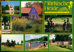 AK Märkische Heide Mit Schloss Groß Leuthen U.a. - Gross Leuthen