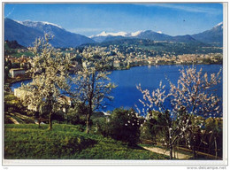 LUGANO - Paradiso, Panorama Generale,  Nice Stamp, Feuerwehr, Fire Fighter, Pompiers - Paradiso