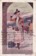 A8781- VINTAGE POSTMAN ILLUSTRATION SIGNED BY ALFRED MAILICK, 1907 TEMESVAR, MAGYAR POSTA STAMP VINTAGE POSTCARD - Mailick, Alfred