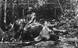 ¤¤  -   MALAISIE   -    Carte-Photo   -  Saladang   -  Chasseur Avec Son Fusil     -   ¤¤ - Malaysia