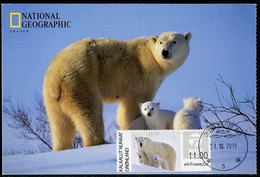 GREENLAND GROENLAND (2019) - Carte Maximum Card ATM - Polar Bear, Der Eisbär, Ours Blanc (National Geographic) - Maximum Cards