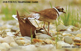 SOUTH KOREA - AUTELCA - ANIMALS BIRDS - LITTLE RINGED PLOVER - K - Corée Du Sud