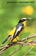 SOUTH KOREA - AUTELCA - ANIMALS BIRDS - FLYCATCHER - J - Corée Du Sud