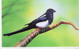 SOUTH KOREA - AUTELCA - ANIMALS BIRDS - MAGPIE WHITE LINE (WRITTEN ON BACK) - Corée Du Sud