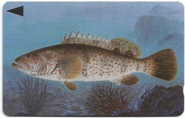 Bahrain - Fish Of Bahrain - Grouper - 39BAHS (Dashed Ø), 1996, 200.000ex, Used - Bahrein