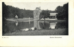 Nederland, ROZENDAAL, Kasteel Rosendael (1900s) Ansichtkaart - Velp / Rozendaal