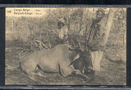 CONGO BELGE (1922) Elan. Carte Postale (N) Avec Photo En Noir Et Blanc, No 105 Du Séries. Difficile à Trouver! - Entiers Postaux